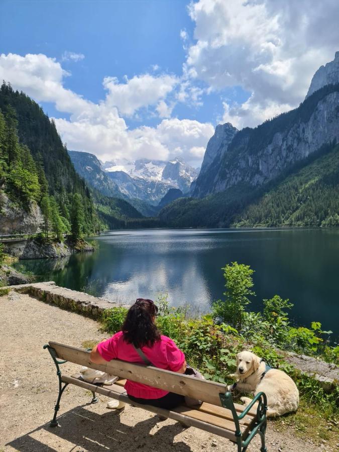 Ferienwohnung Margareta Bad Goisern Bagian luar foto