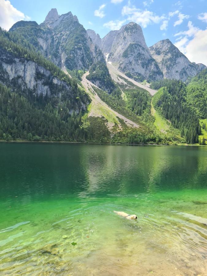 Ferienwohnung Margareta Bad Goisern Bagian luar foto
